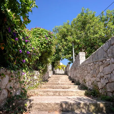 Dino Magical View - Zf Hvar